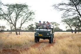 Game drive Sonnenuntergang Kalahari Kuzikus Wildlife Reserve & Astro G&auml;stefarm Kalahari Namibia