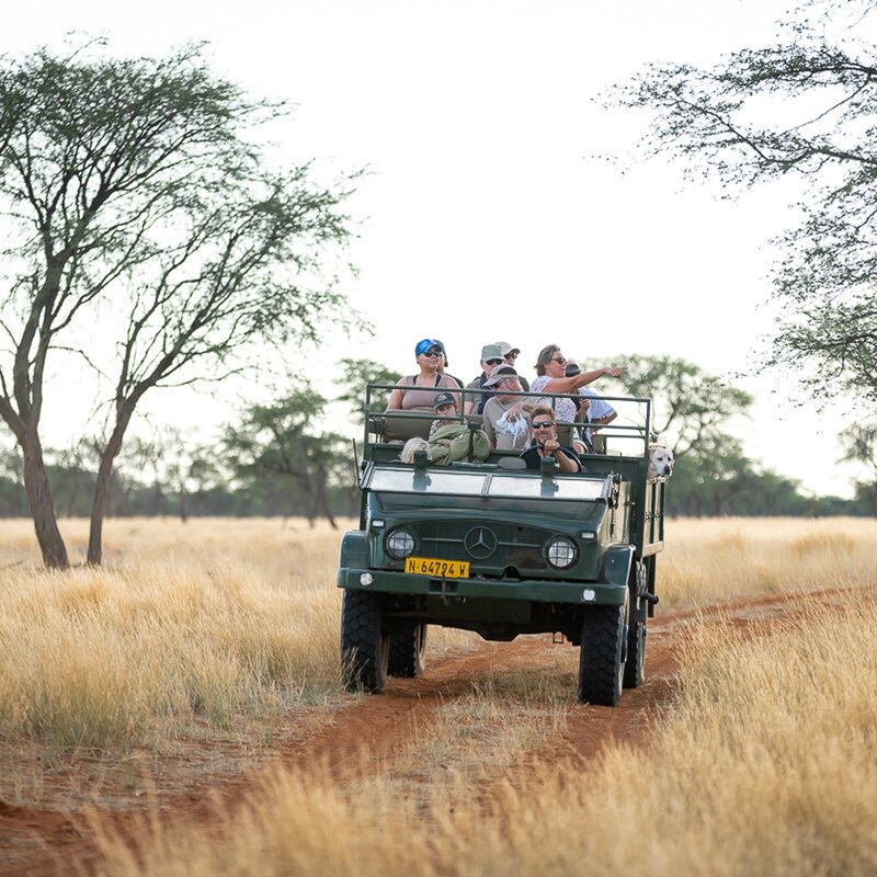 Game drive Sonnenuntergang Kalahari Kuzikus Wildlife Reserve & Astro G&auml;stefarm Kalahari Namibia