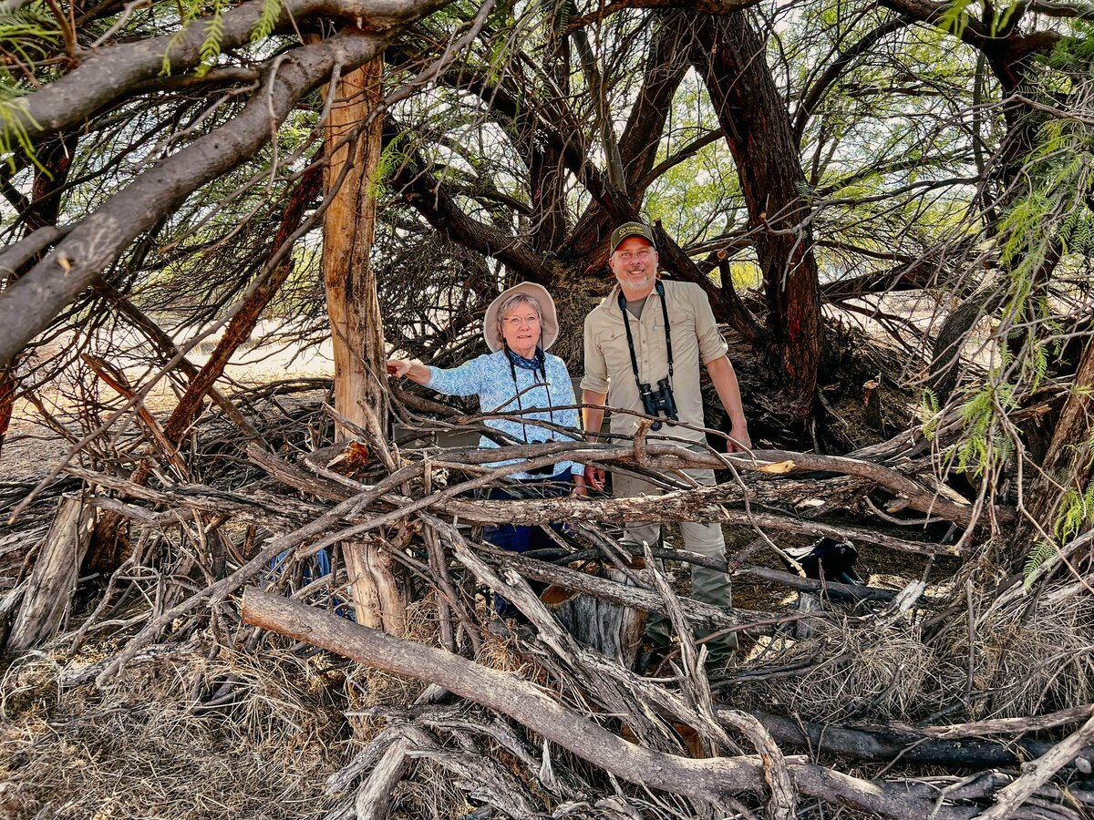 Ansitzen beobachten Wasserloch Kalahari Kuzikus Wildlife Reserve Namibia