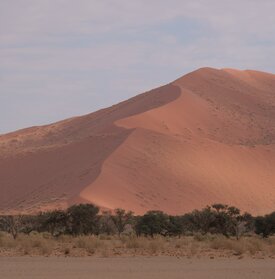 Flug nach Sossusvlei Tagesausflug Kuzikus Wildlife Reserve Namibia