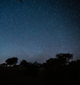 Urlauber Safari Kalahari Kuzikus Wildlife & Astro G&auml;stefarm Namibia