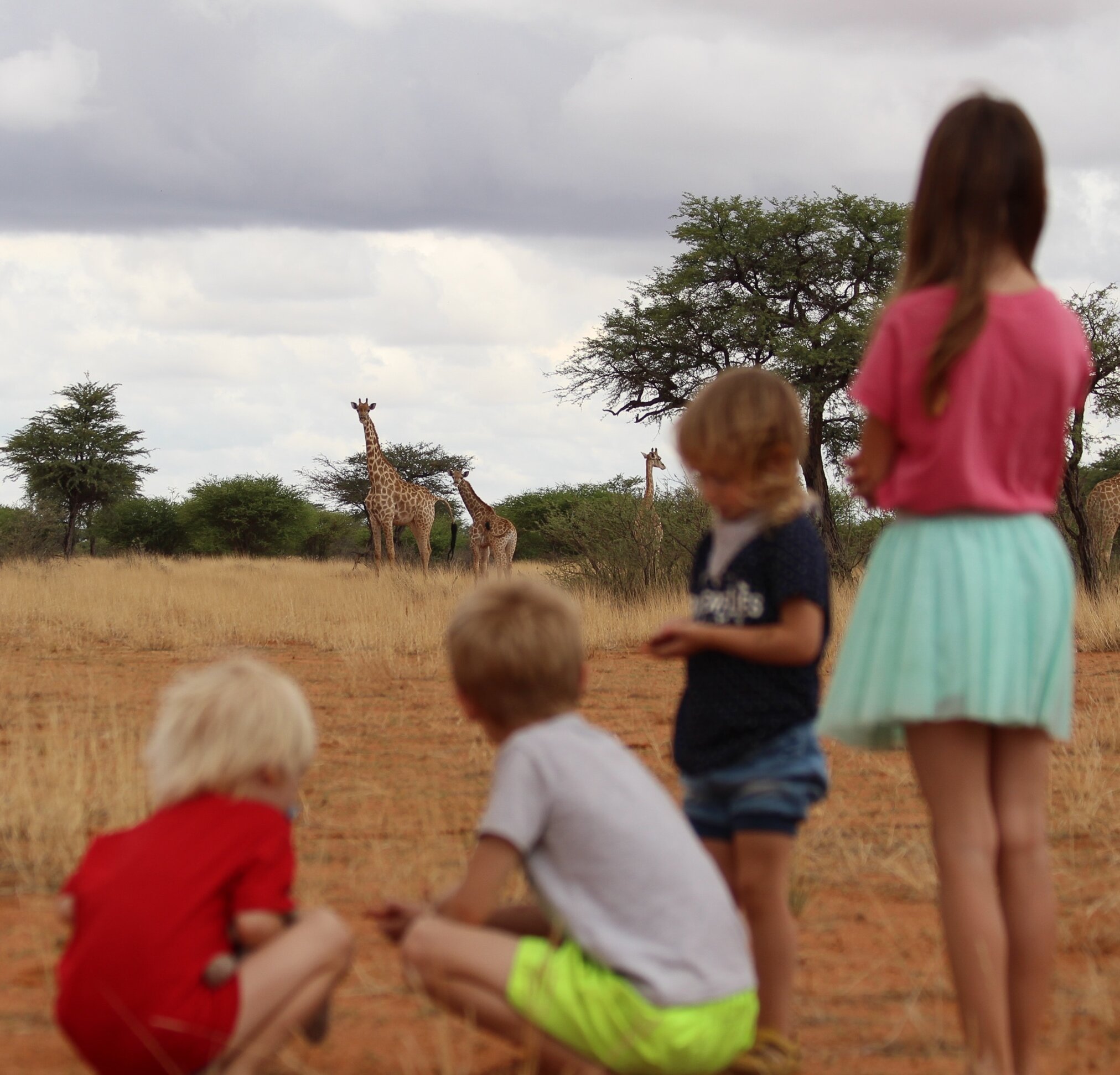 Familien Safari Namibia Kuzikus Wildlife Reserve Astro & G&auml;stefarm