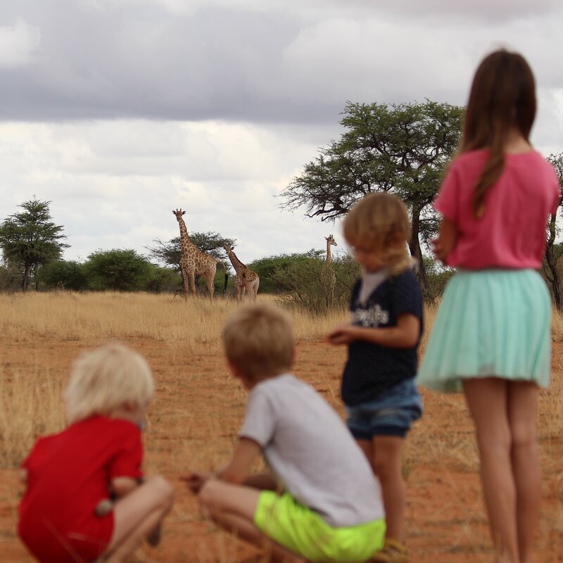 Familien Safari Namibia Kuzikus Wildlife Reserve Astro & G&auml;stefarm