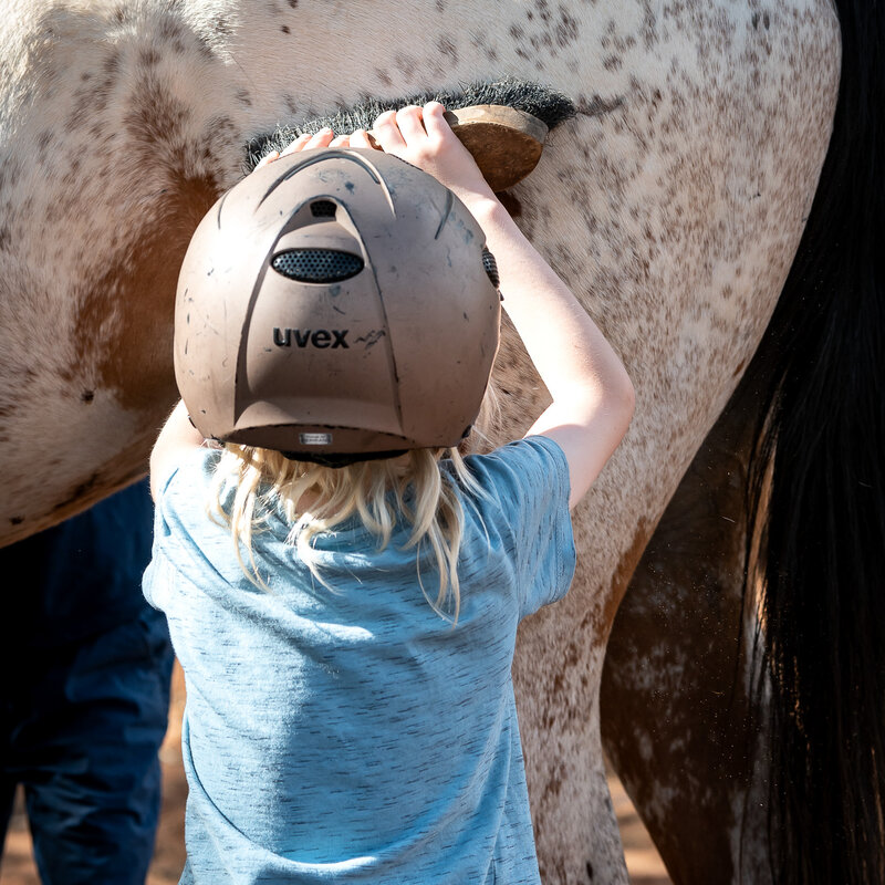Kinderreiten Kuzikus Wildlife Reserve & Astro G&auml;stefarm