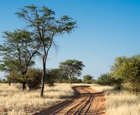 Strasse Anreise Kuzikus Wildllife Reserve & Astro G&auml;stefarm Kalahari Namibia