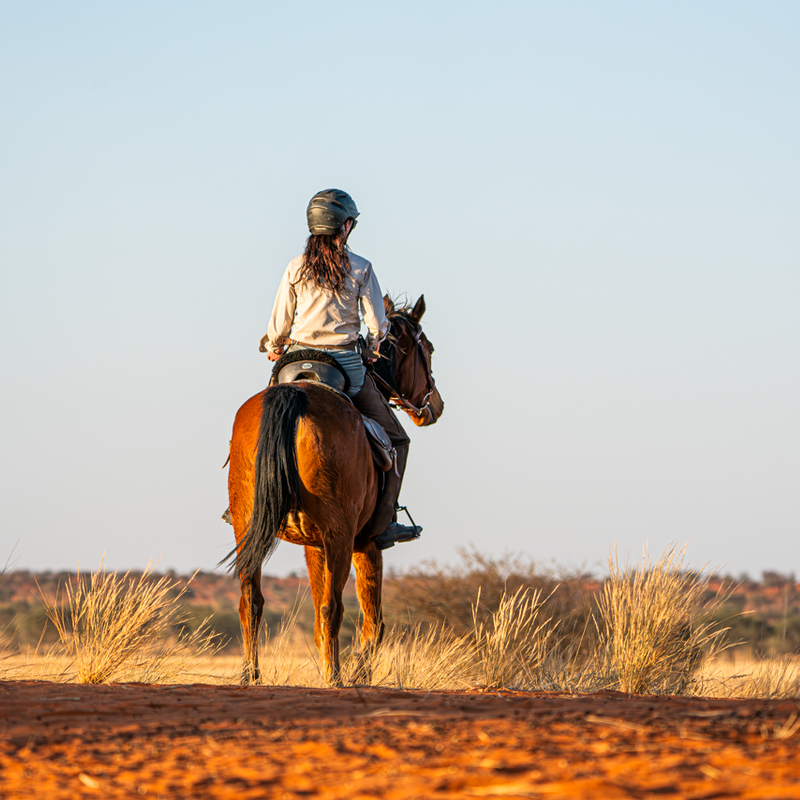 Nichola allein auf dem Kalahari Duenenkamm