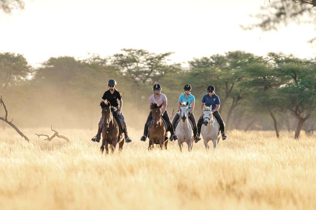 Group of Riders