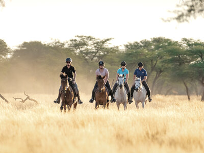 Group of Riders