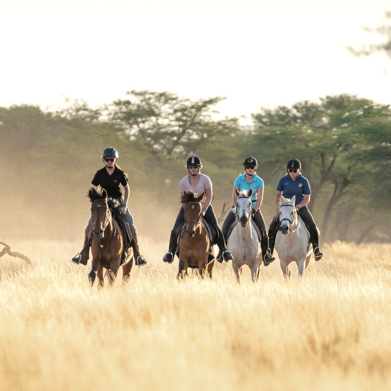 Group of Riders