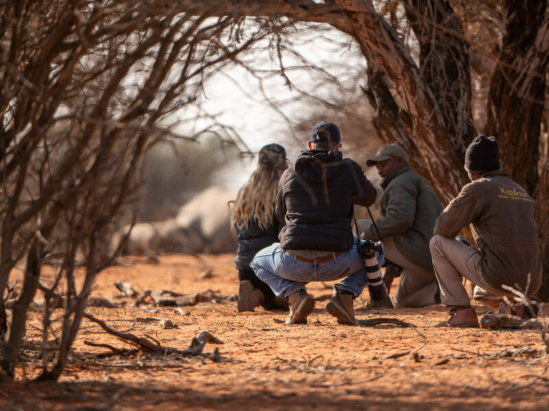 Spitzmaulnashorn Tracking Kuzikus Wildllife Reserve & Astro G&auml;stefarm Kalahari Namibia