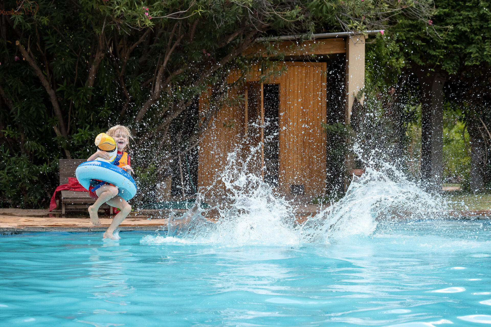 Pool mit Garten