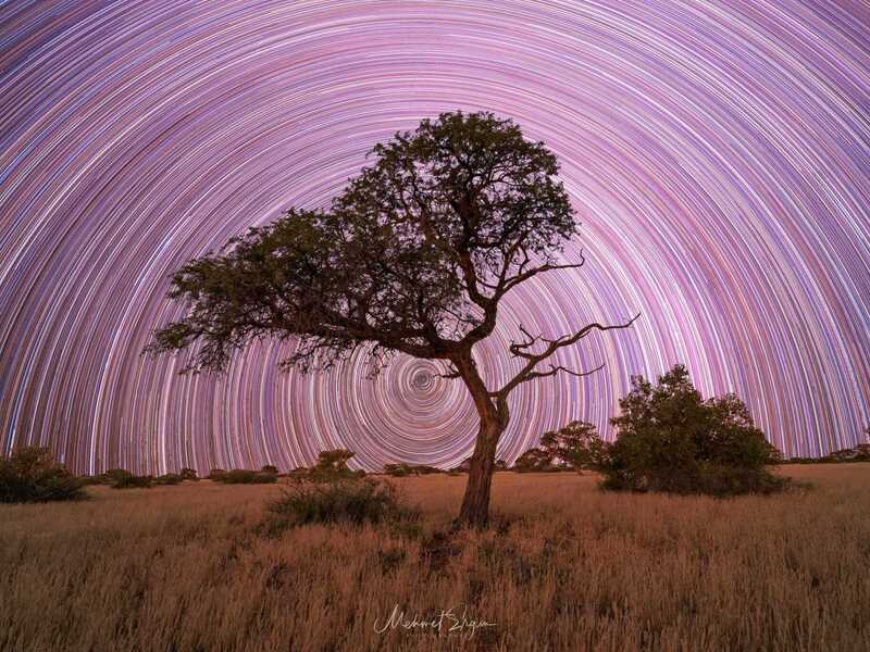 Astrofotographie Baum Kuzikus Wildlife Reserve & Astro G&auml;stefarm Kalhari Namibia