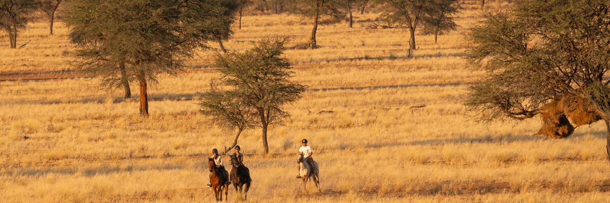 reiter in der Weite der Kalahari