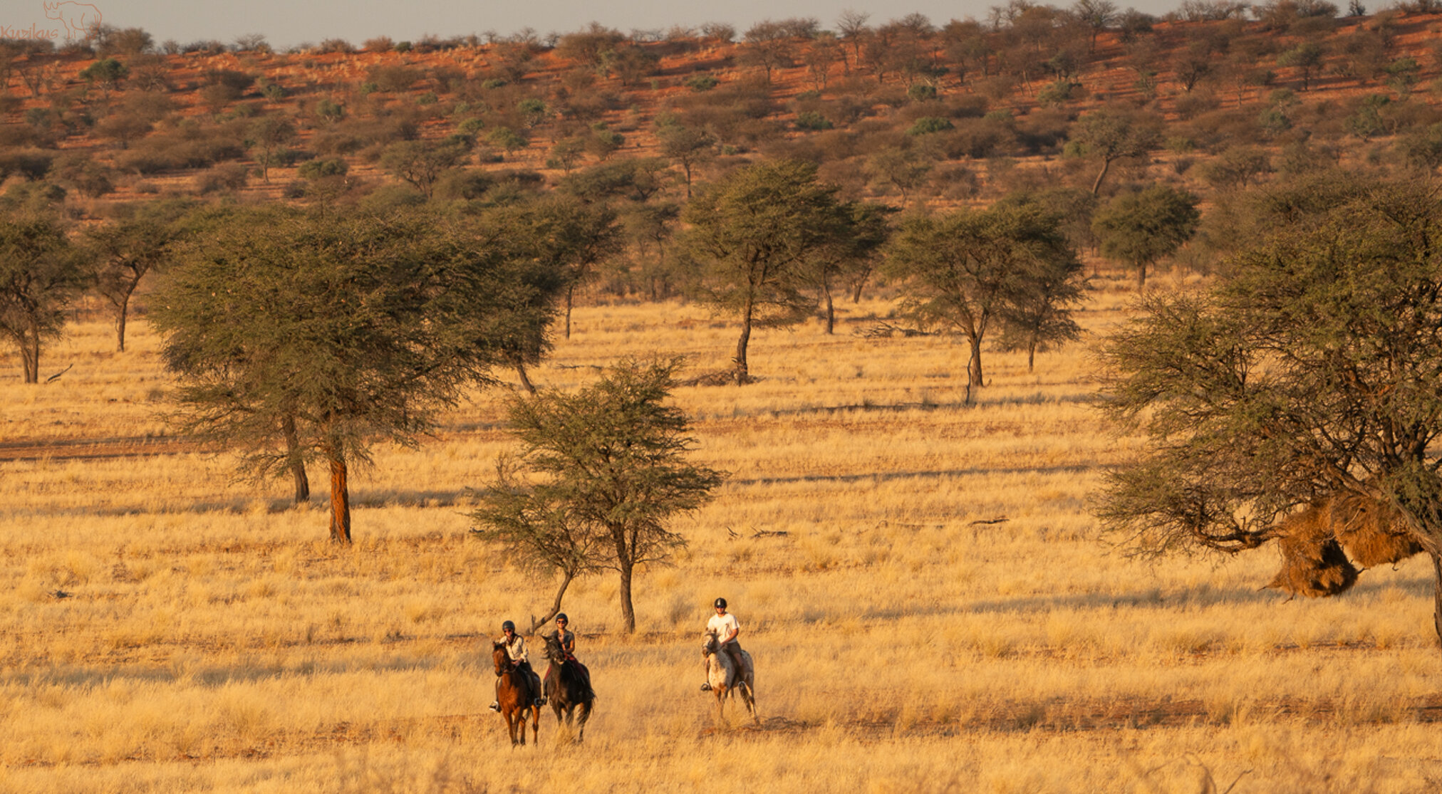 reiter in der Weite der Kalahari