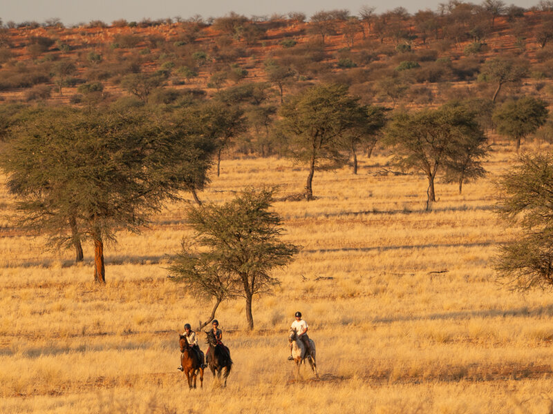 reiter in der Weite der Kalahari