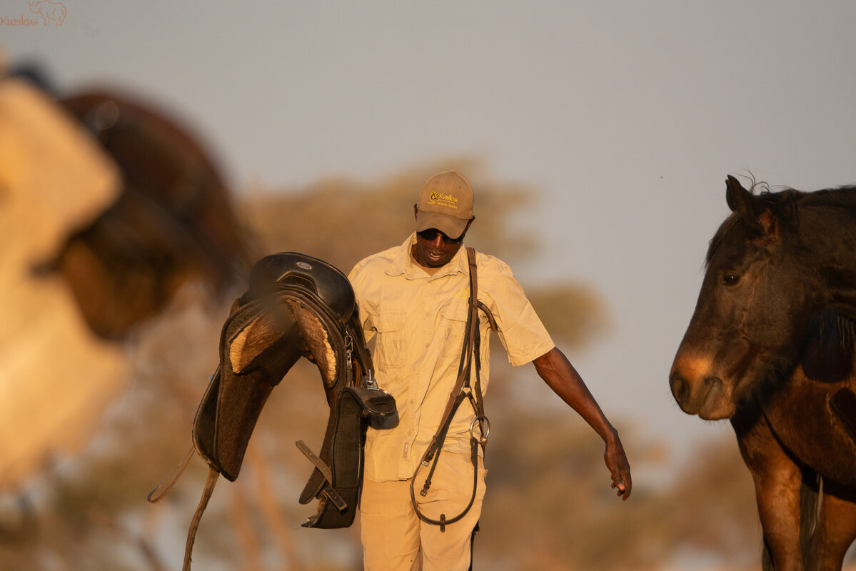 Horseguide carrying saddle after ride