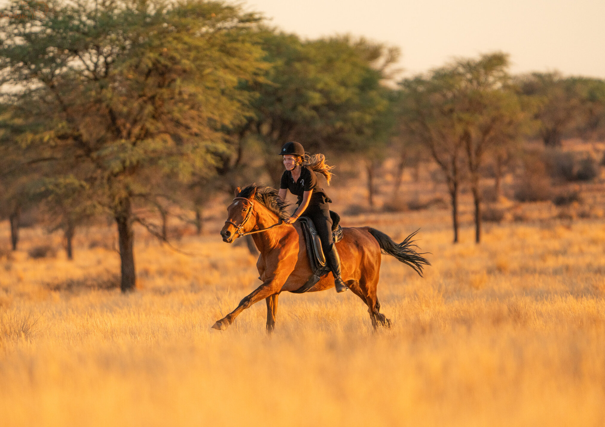 rider on her own galloping through the savanna
