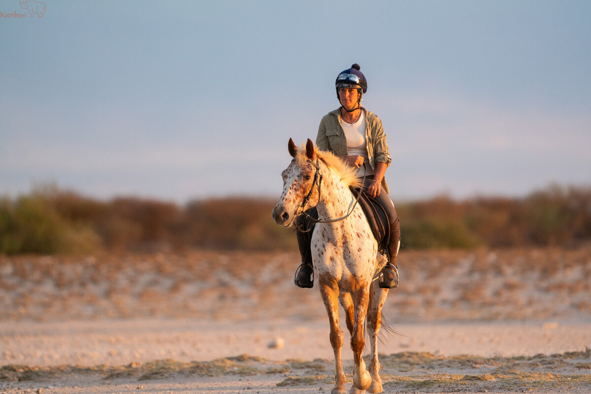 Horse and rider in the saltpan
