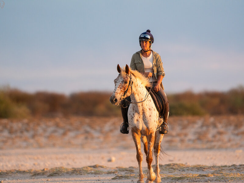 Horse and rider in the saltpan