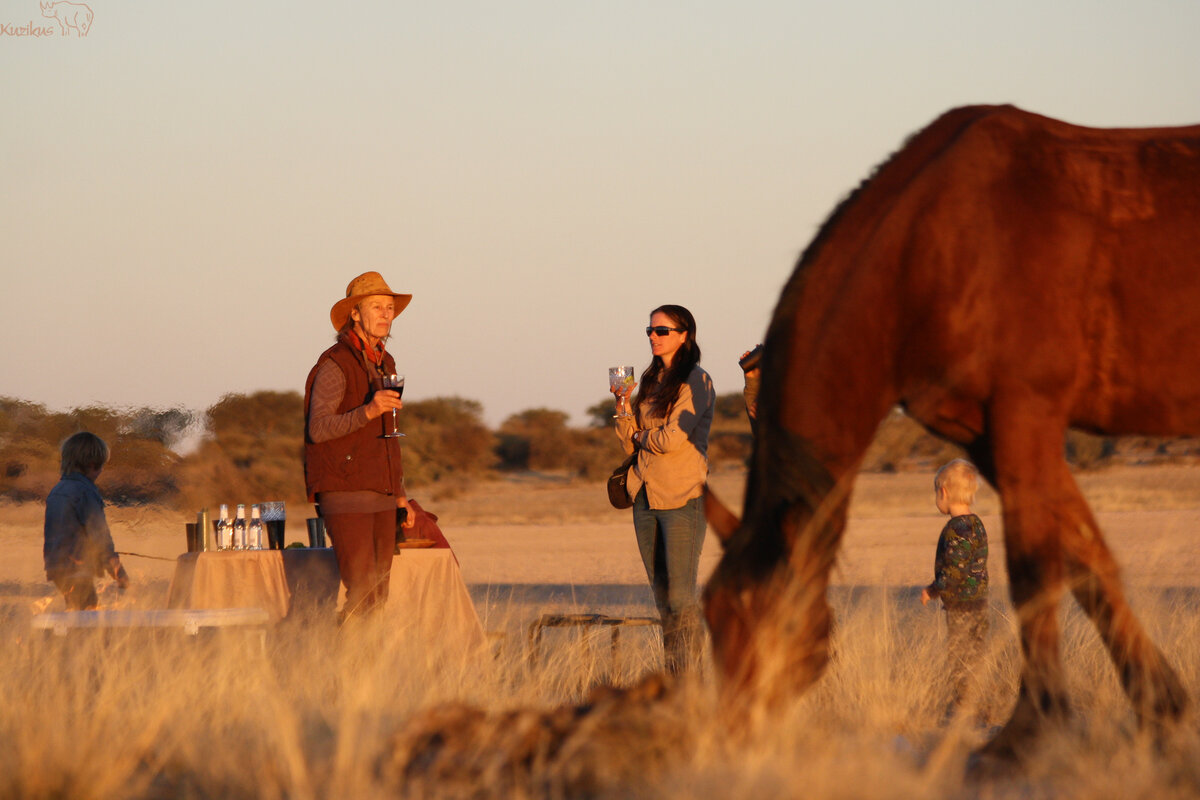Pferd mit Sundowner