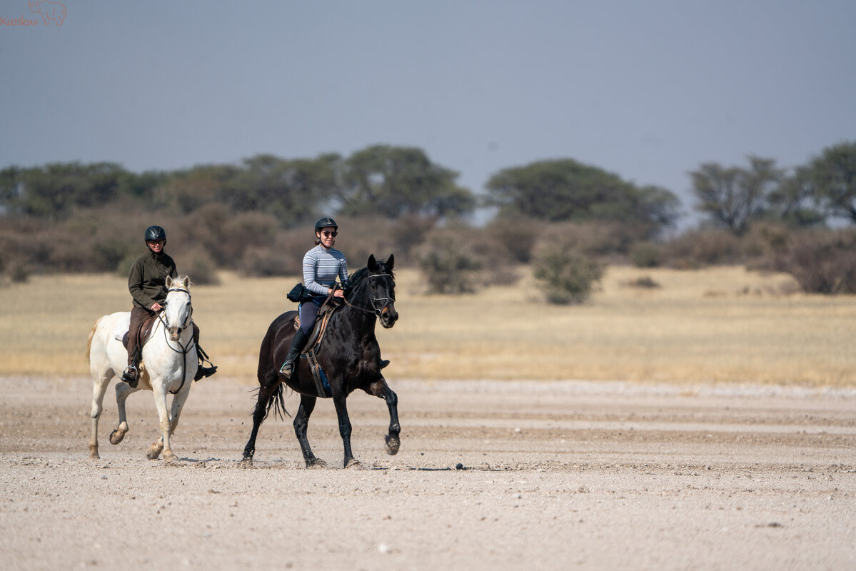 Riding in July accross a slatpan