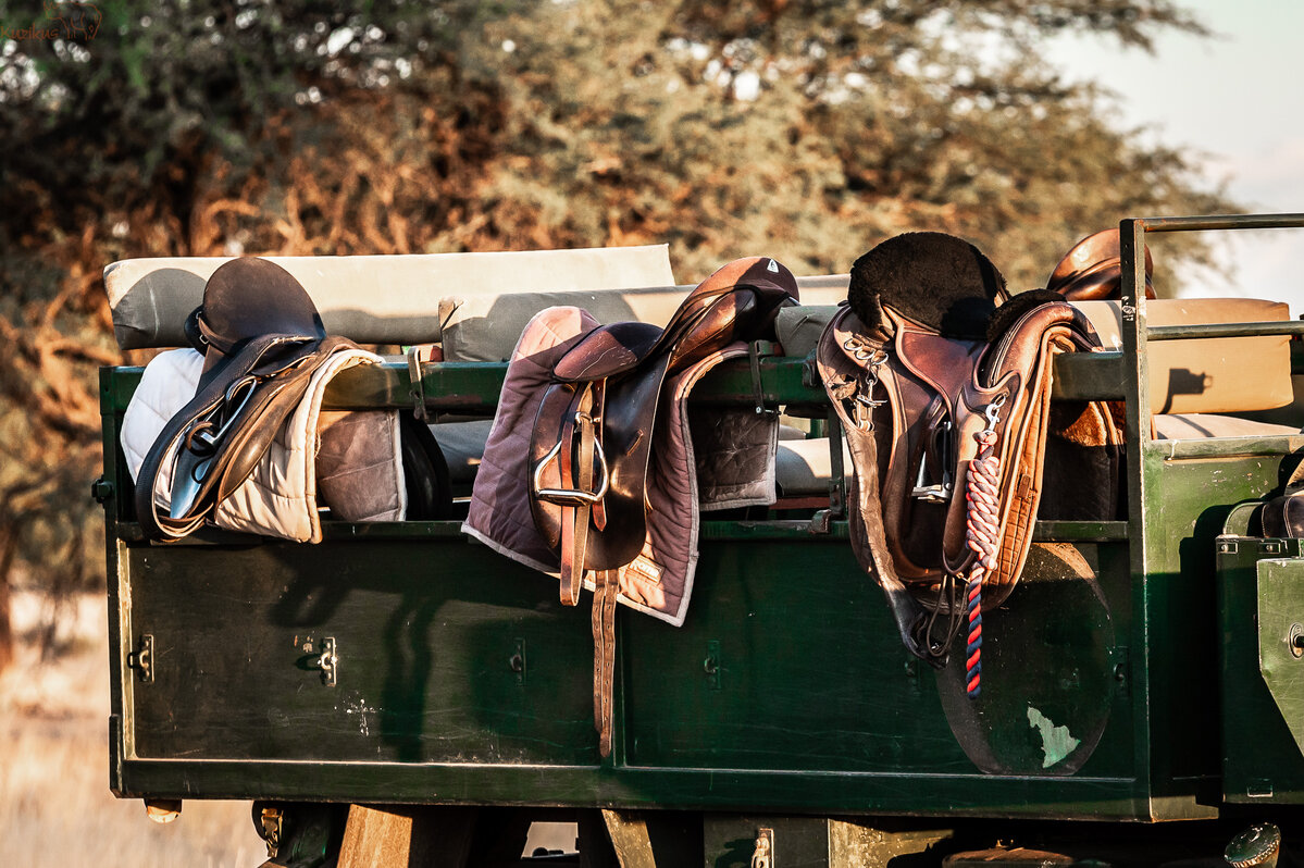 Saddles on the side of the Unimog