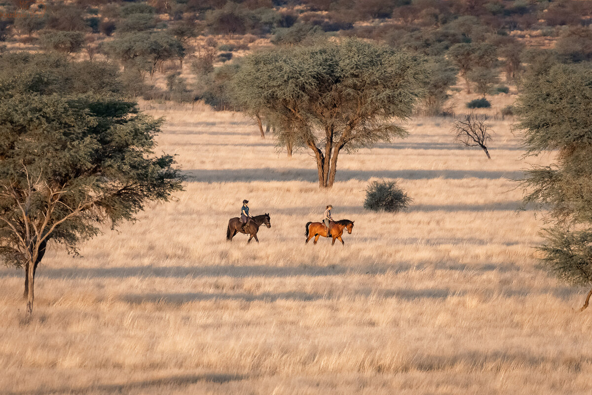 zwei Reiter in der Kalahari Baumsavanne