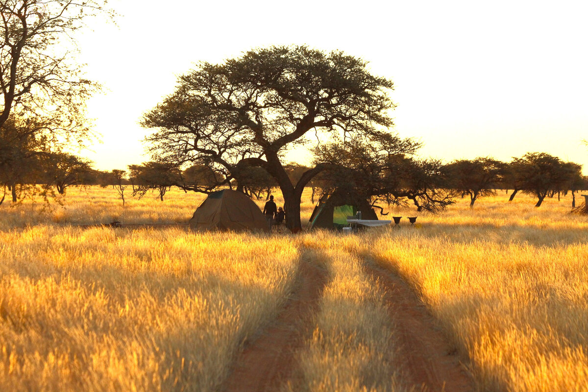 Glamping Abenteuer Kalahari Kuzikus Wildlife Reserve & Astro G&auml;stefarm