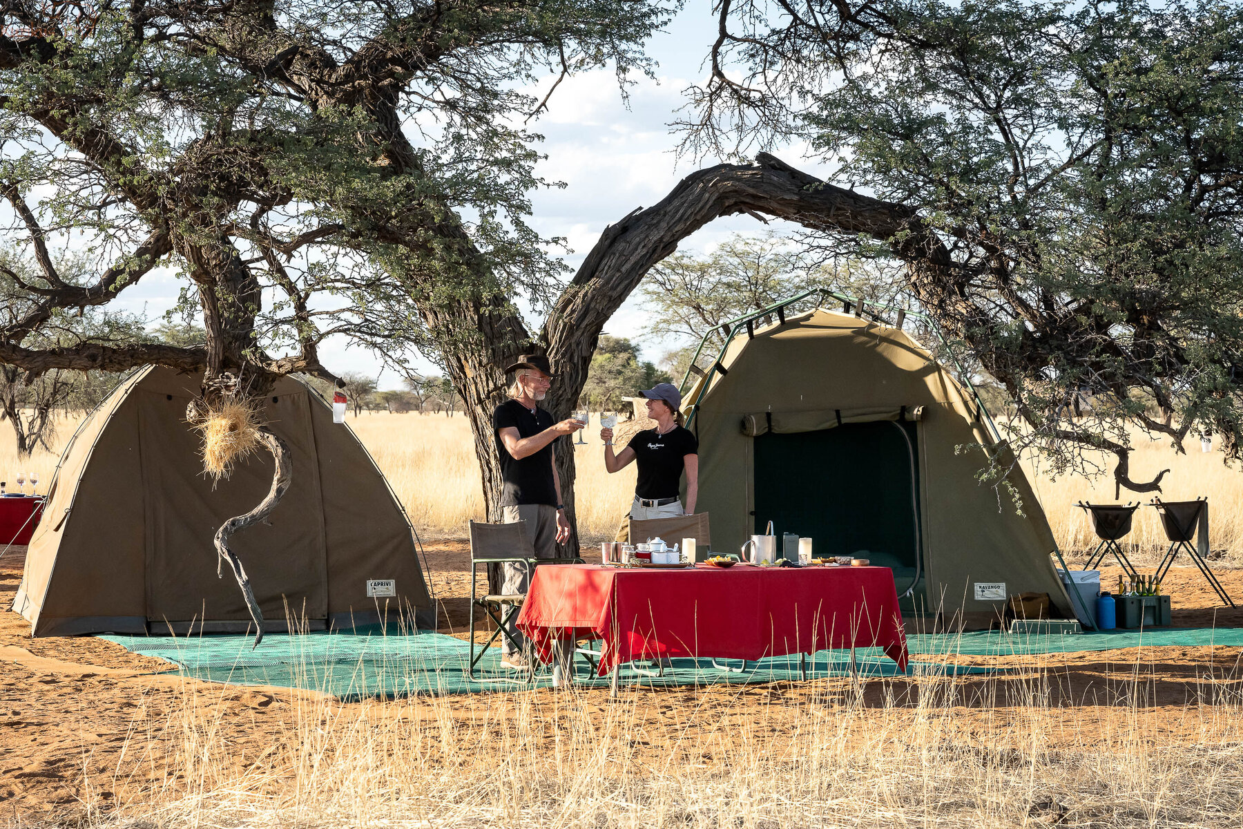 two Tents under a Camelthorn tree