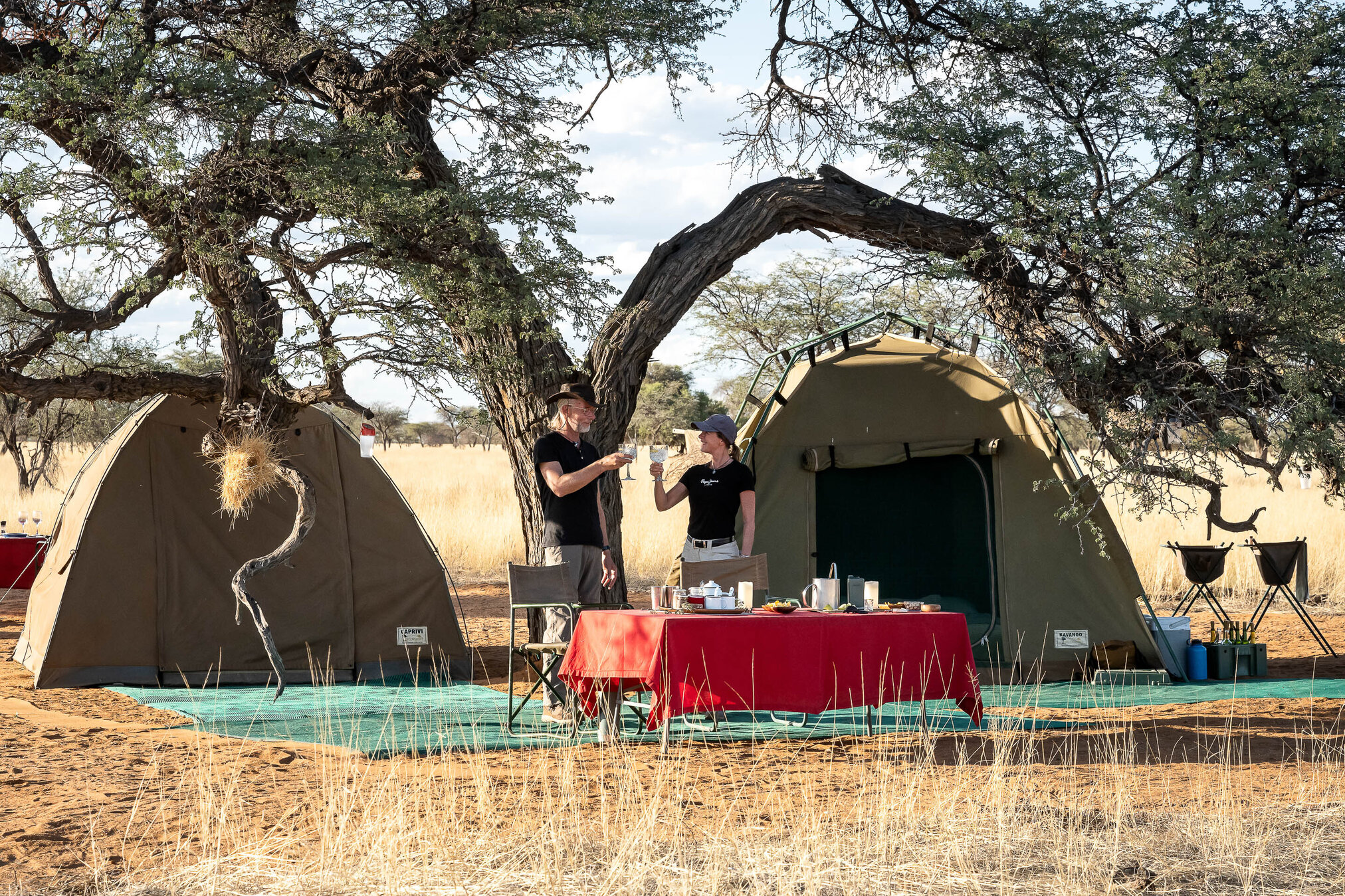 two Tents under a Camelthorn tree