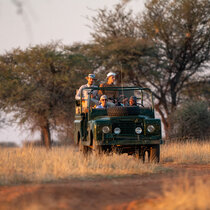 Wildbeobachtungsfahrt in offenen Landrover Oldtimer