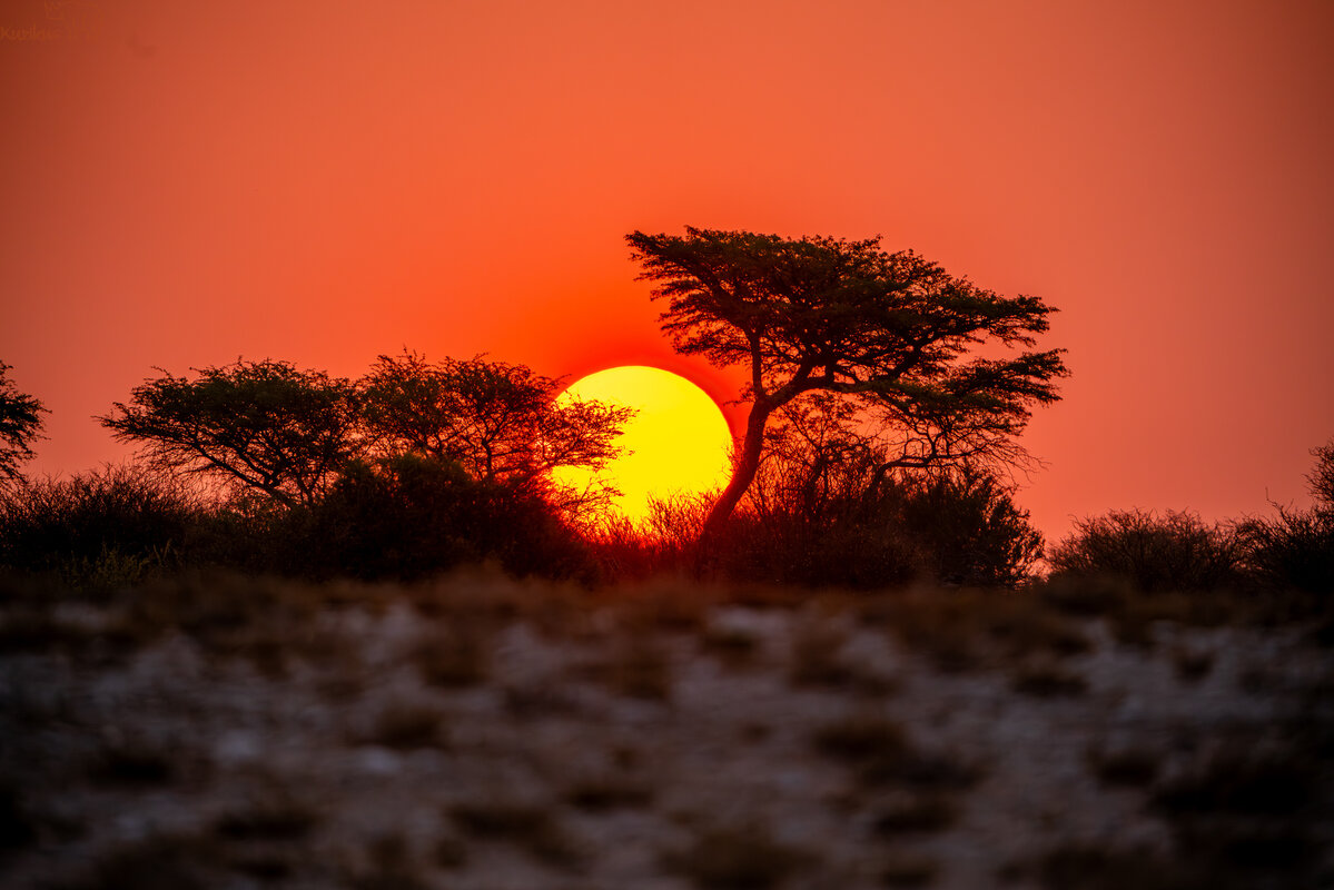 Sonnenuntergang