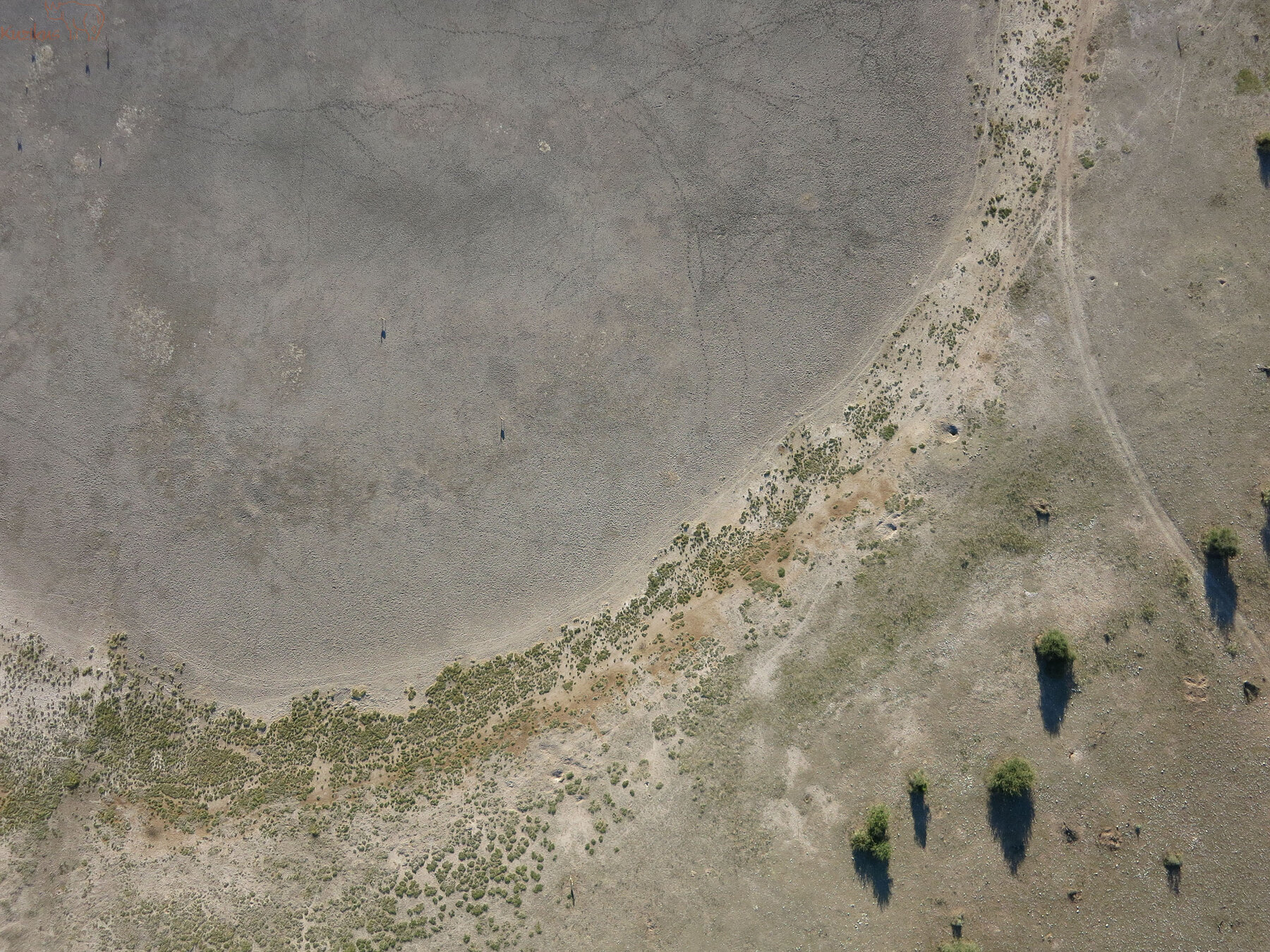 Mapping Project