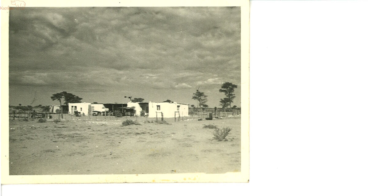 old kuzikus