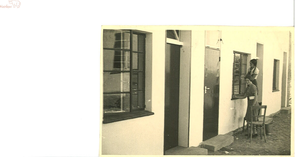 old kuzikus