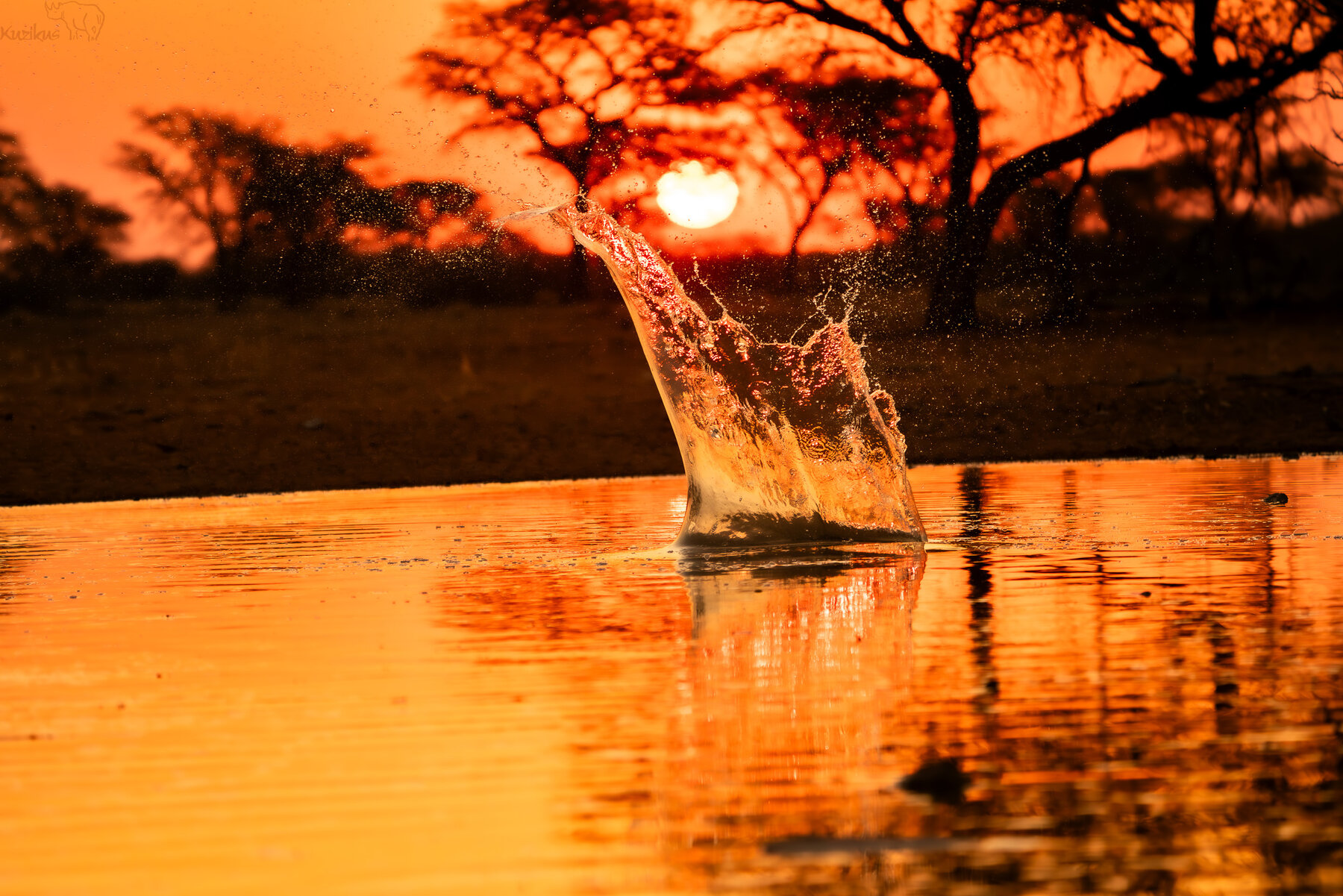 Kalahari Sunset