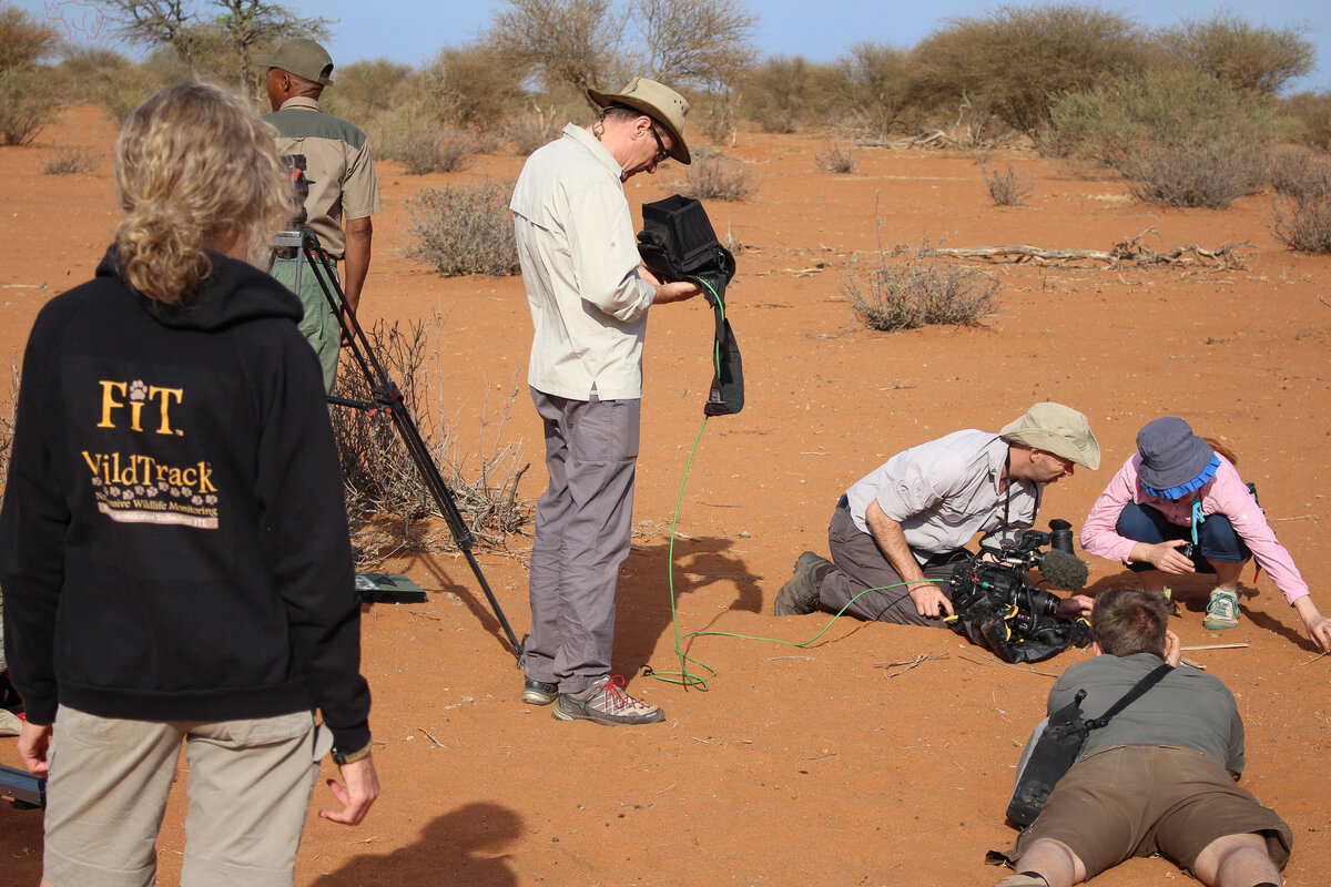 Wissenschaftler Feldarbeit Forschung Wissenschaft Kuzikus Wildlife Reserve