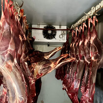 meat