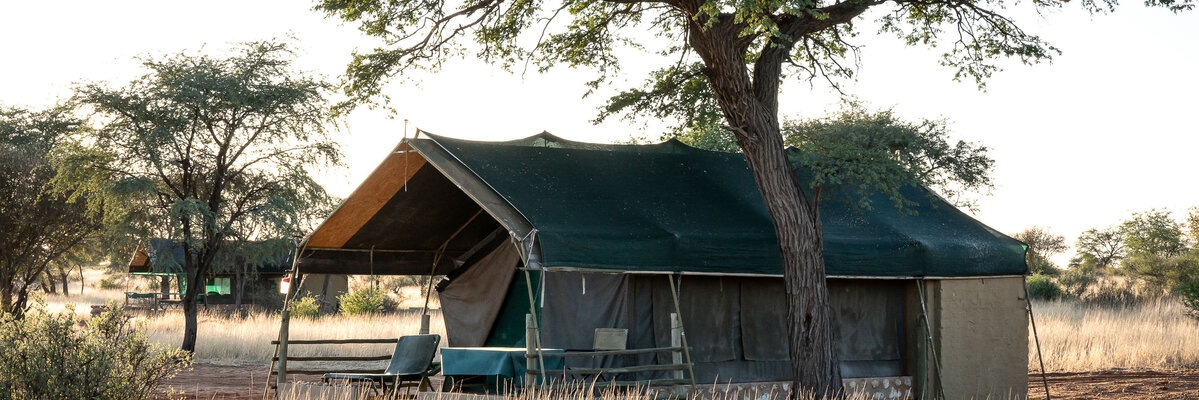 camp