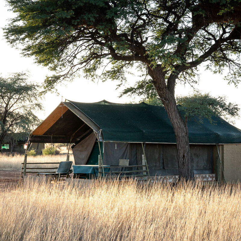 camp