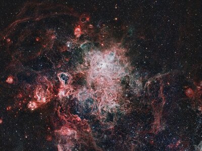 Stars