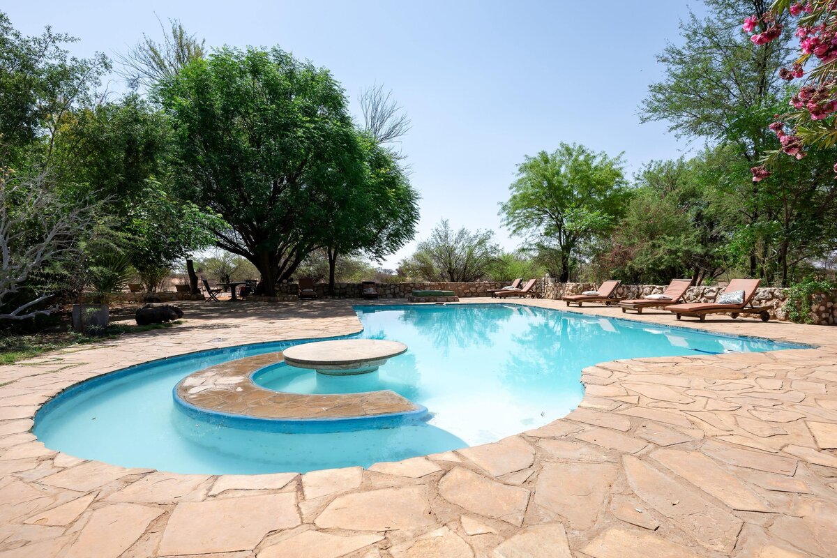 Pool Schwimmbad G&auml;stefarm Kuzikus Wildlife Reserve Kalahari Namibia