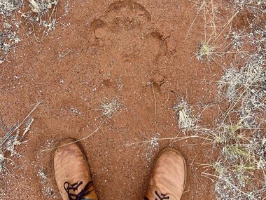 Naturschutzprojekte Kalahari Kuzikus Wildlife Reserve
