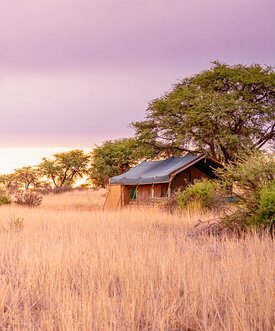 Buschcamp Hauszelt Kuzikus G&auml;stefarm Kalahari Namibia
