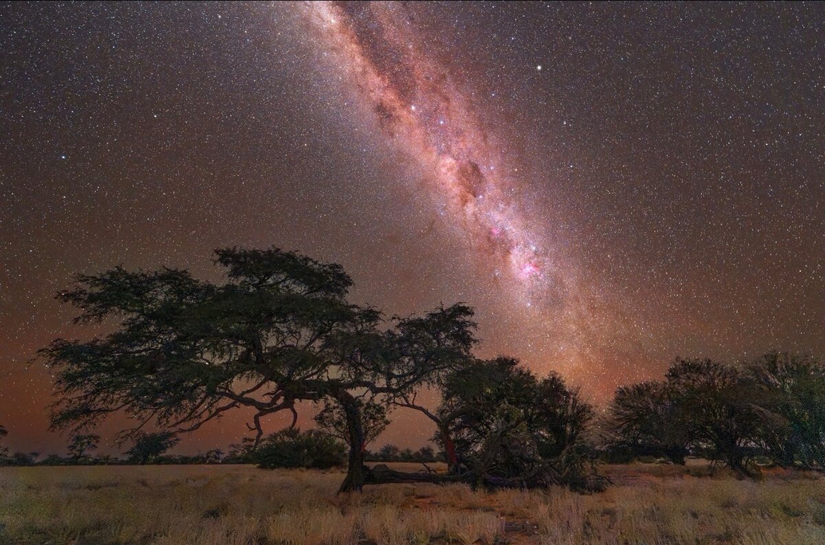 Astrofotographie dunkler Himmel Kalhari Namibia Ga&auml;stefarm
