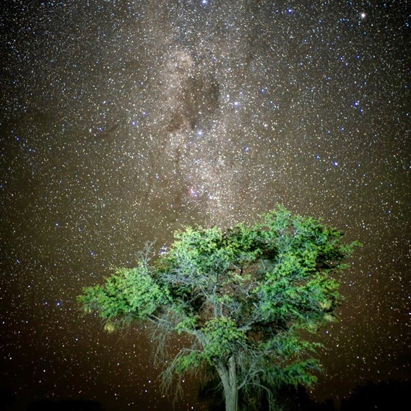 dunkler Himmel Astrofotographie Kalhari Namibia G&auml;stefarm