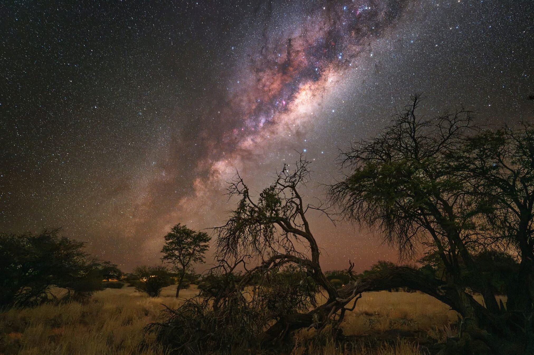 Astrofotographie Sternhimmel Kuzikus Wildlive Reserve & Astro G&auml;stefarm Kalahari Namibia