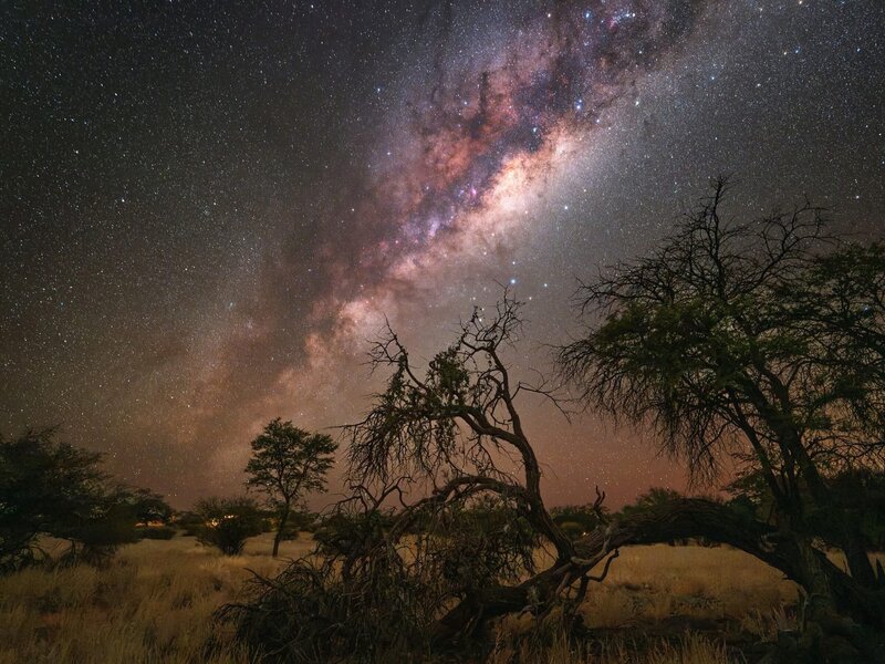 Astrofotographie Sternhimmel Kuzikus Wildlive Reserve & Astro G&auml;stefarm Kalahari Namibia