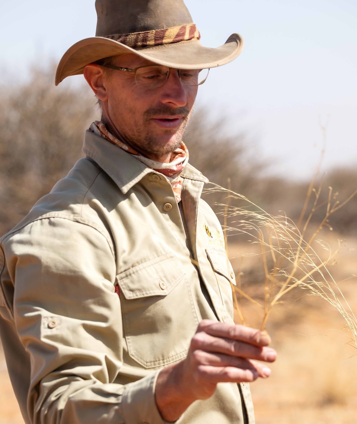 Biologe Einblicke &Ouml;kosystem Kalahari