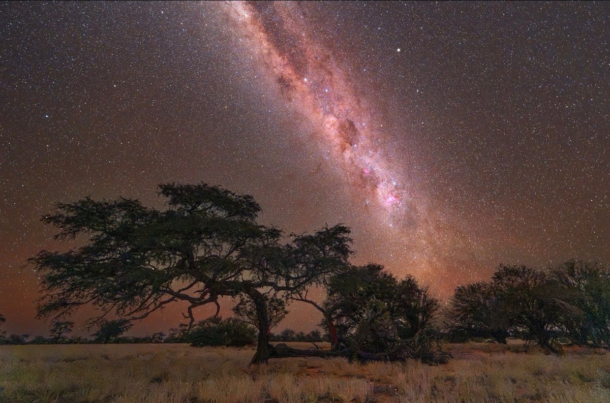 Astrofotographie dunkler Himmel Kalhari Namibia Ga&auml;stefarm